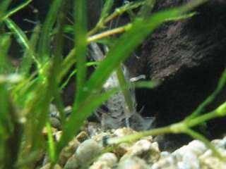 080420-01.jpg