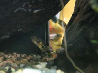 080420-03.jpg