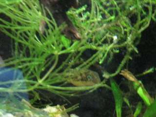 080420-05.jpg