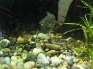 080424-03.jpg
