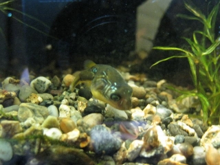 080424-05.jpg