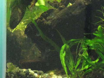 080511-04.jpg