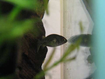 080516-02.jpg