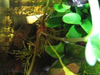 080516-03.jpg