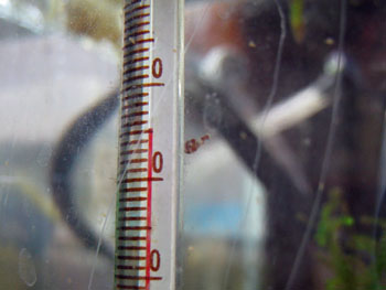 100608-4.jpg